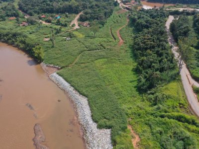 Animais silvestres estão retornando à região de Brumadinho