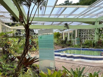 Jardim Botânico do Rio reabre bromeliário, após nove meses em obras