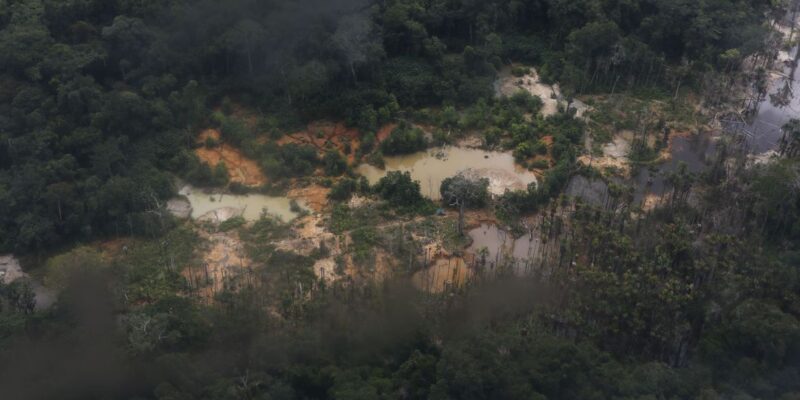 PF combate comércio de ouro extraído ilegalmente de TI Yanomami