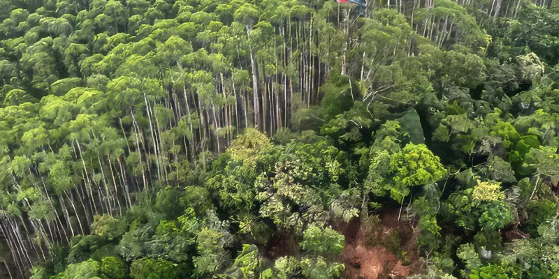 Corpos de ocupantes de helicóptero são encontrados junto aos destroços