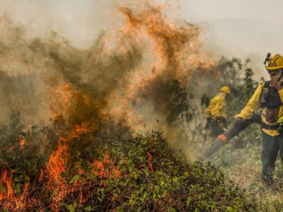 Polícia Federal investiga 18 focos de incêndio no Pantanal