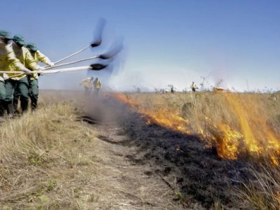 Governo Federal autoriza contratação de brigadas temporárias em vinte unidades da Federação