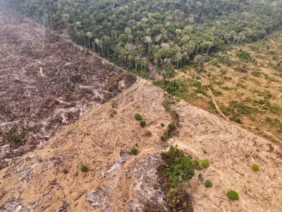 Quase 40% da Parte Mais Essencial da Floresta Amazônica Está Desprotegida, Revela ONG