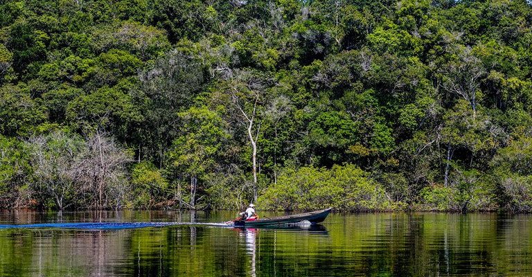 Amazônia: desmatamento em agosto de 2024 foi o menor em seis anos