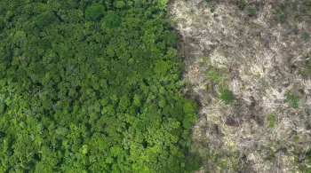 Pesquisador Discute Potenciais Riscos de “Nova Pandemia” Associados à Abertura do Reservatório do Amazonas