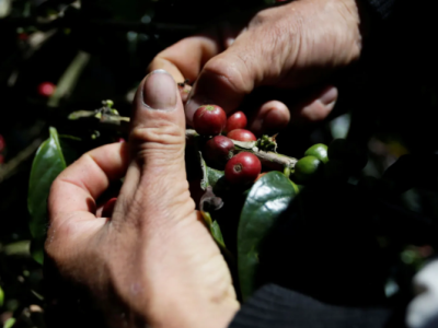 Aumento de 0,66% nos Preços ao Produtor no Brasil em Setembro: Oitava Alta Consecutiva