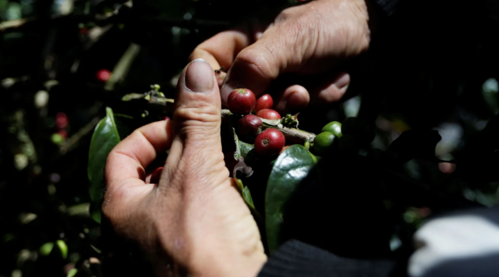 Aumento de 0,66% nos Preços ao Produtor no Brasil em Setembro: Oitava Alta Consecutiva