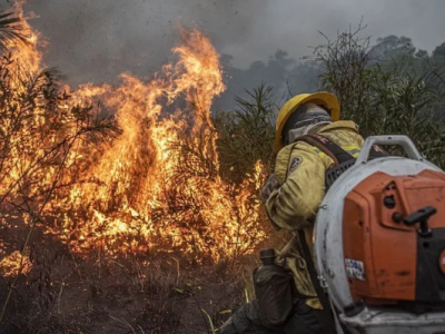 Área Atingida por Queimadas no Brasil em 2024 Supera 150% em Relação ao Ano Anterior, Segundo o MapBiomas