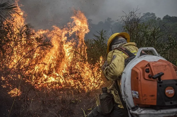 Área Atingida por Queimadas no Brasil em 2024 Supera 150% em Relação ao Ano Anterior, Segundo o MapBiomas