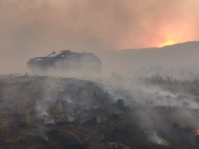 Incêndios na Argentina: Comunidades se Mobilizam para Preservar as Florestas