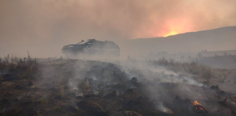 Incêndios na Argentina: Comunidades se Mobilizam para Preservar as Florestas