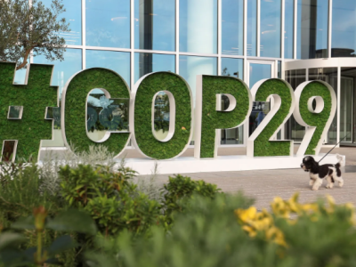 A Importância da COP29: Um Marco para o Futuro Climático