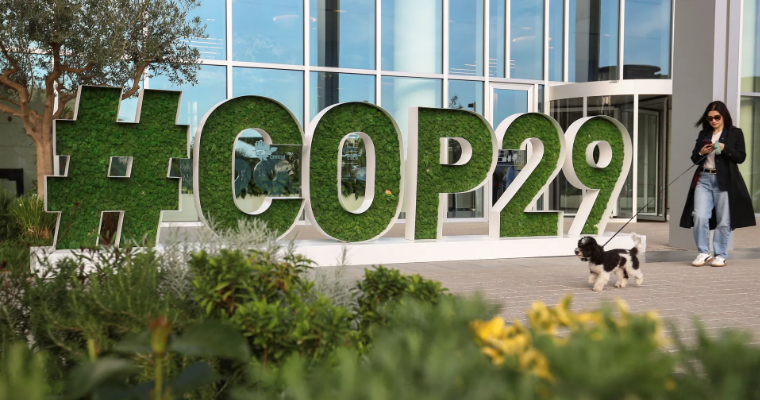 COP29: O que são os Créditos de Carbono e qual a Relevância do Artigo 6 do Acordo de Paris?