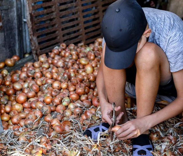 Governo Federal afasta cerca de 4.500 crianças do trabalho infantil em dois anos