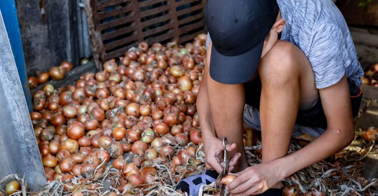 Governo Federal afasta cerca de 4.500 crianças do trabalho infantil em dois anos