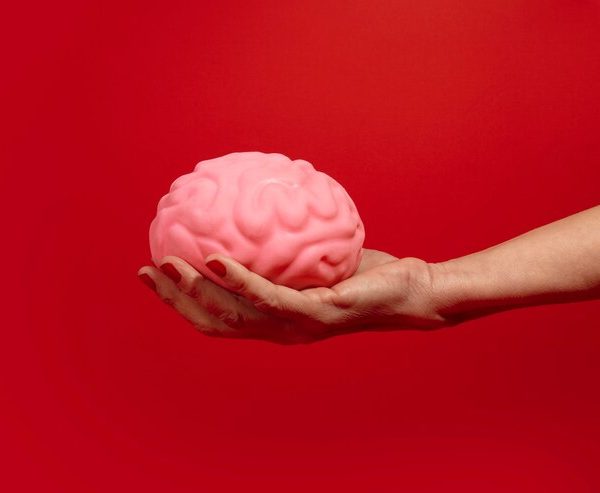 Brain Rot: A Degeneração Cognitiva na Era Digital